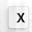 X Icon